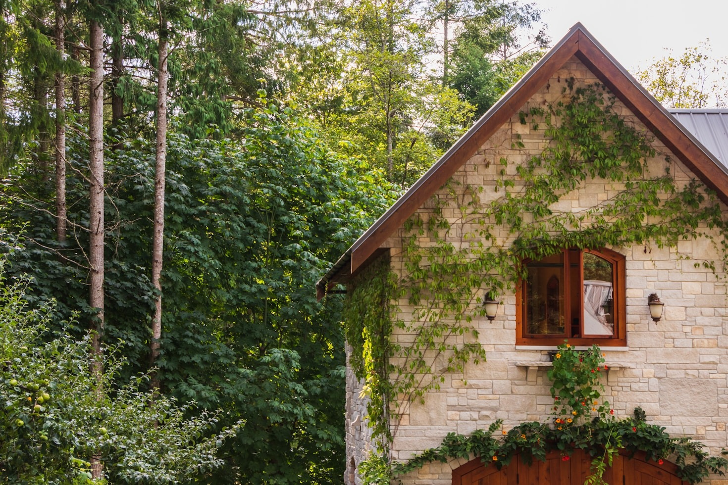 Ein unvergesslicher Urlaub in der Allgäuer Idylle
